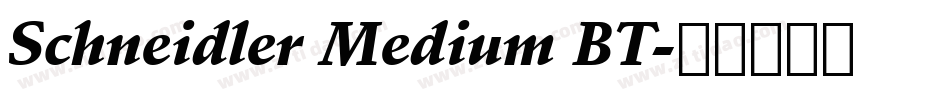 Schneidler Medium BT字体转换